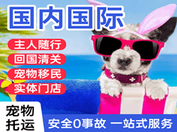 普洱思茅机场托运国际宠物托运 【国